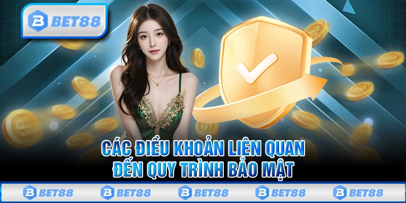 Các điều khoản sử dụng liên quan đến quy trình bảo mật