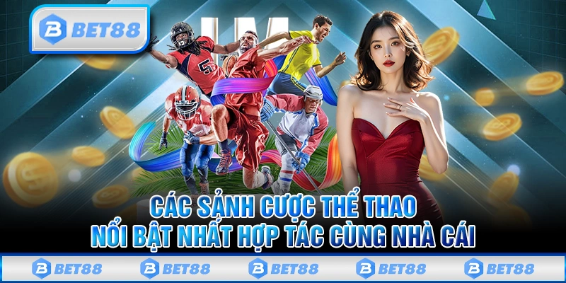 Các sảnh cược thể thao nổi bật nhất hợp tác cùng nhà cái