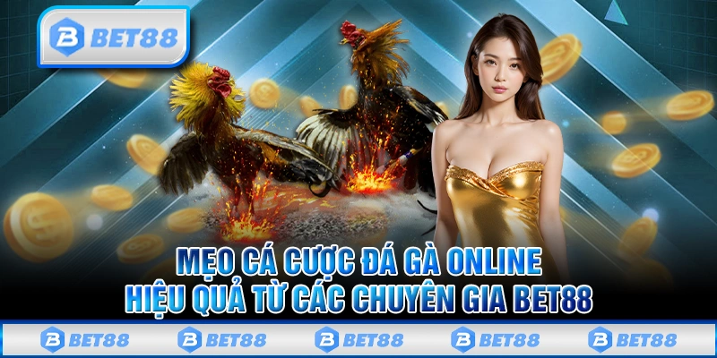 Mẹo cá cược đá gà online Bet88 hiệu quả từ các chuyên gia